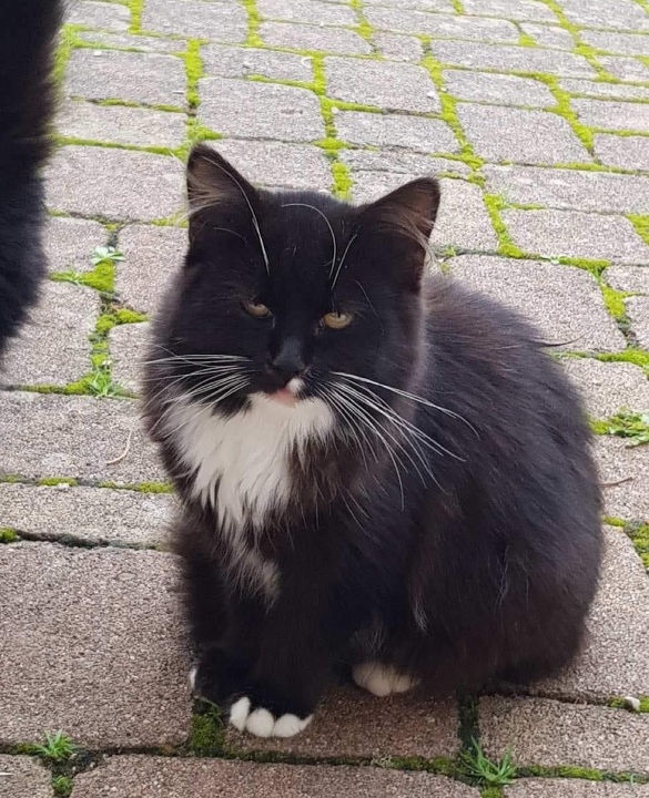 Léna et Iris 6 mois trouvée dans la rue