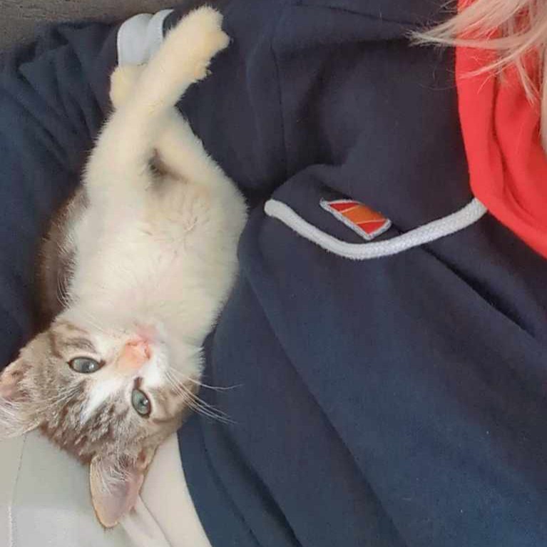 Roméo 2 mois câlin et gentil avec les enfants